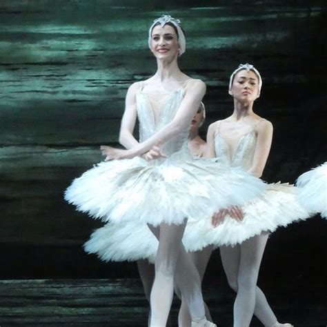 Swan Lake Costumes — Ballet Style | Ballet beautiful, Swan lake ...