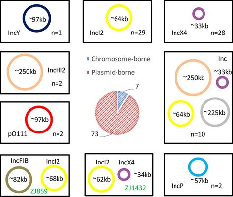 Schematic depiction of the prevalence of mcr-1 in various types of ...