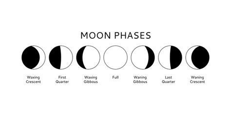 Aggregate more than 80 phases of moon sketch latest - seven.edu.vn