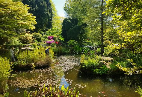 The Birmingham Botanical Gardens and Glasshouses - Historic and Botanic ...