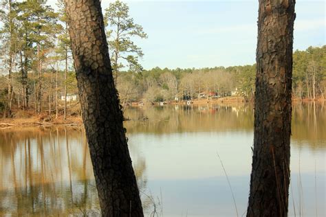 landscape Through 2 trunks at High Falls State Park, Georgia image - Free stock photo - Public ...