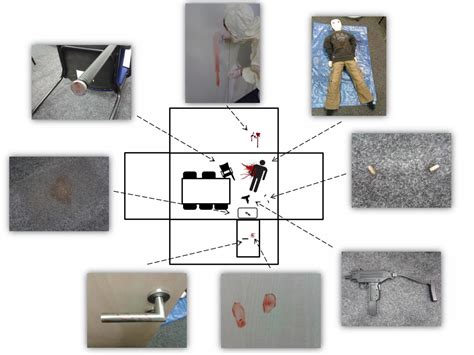 CSI Effect Experiment [IMAGE] | EurekAlert! Science News Releases