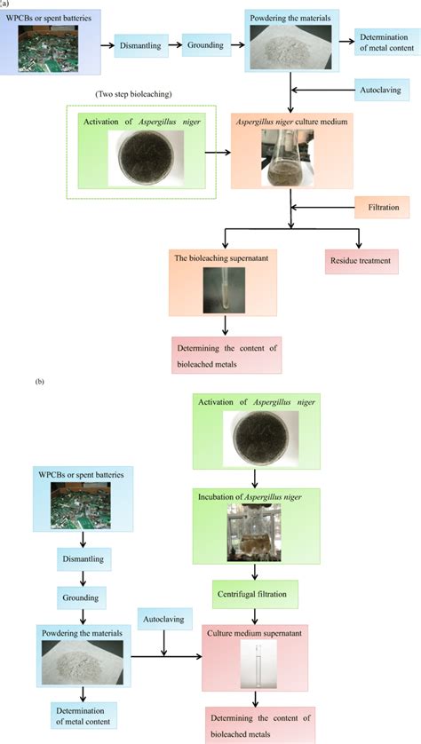 Flowsheet of (a) the one-step bioleaching and two-step process (b) the... | Download Scientific ...