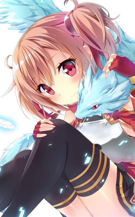 Silica and Pina [Sword Art Online] (3750x6000) : r/Animewallpaper