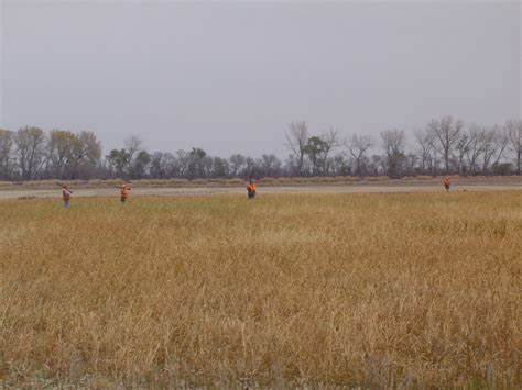 2005_South-Dakota_Pheasant-Hunt