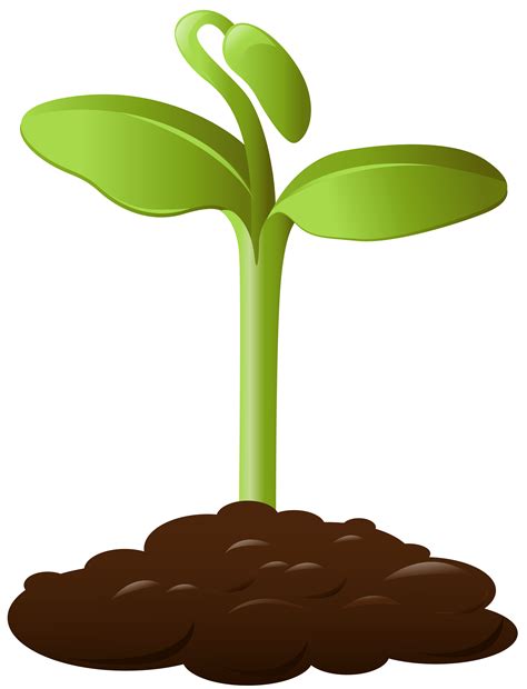 Plants clipart soil, Plants soil Transparent FREE for download on WebStockReview 2024