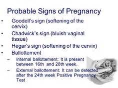 Hegar's Sign vs Goodell's Sign | Probable signs of pregnancy 1.Chadwick ...