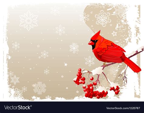 Red cardinal bird background Royalty Free Vector Image