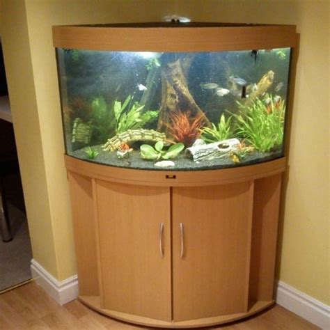 The Ultimate Guide To Setting Up And Maintaining A 55 Gallon Fish Tank ...