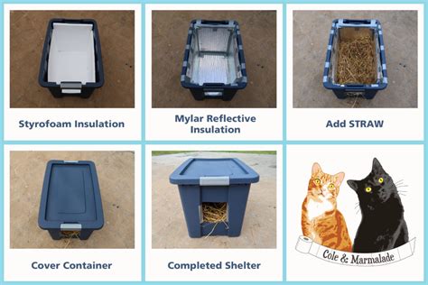 How To Build A Feral Cat Shelter - Cole & Marmalade