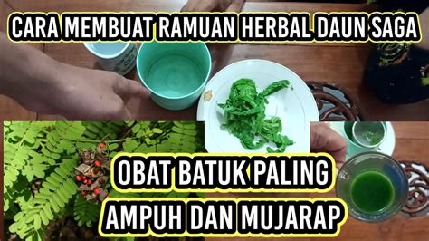 Cara Membuat Ramuan Herbal Obat BATUK dari Daun SAGA!!! | Resep Asli ...