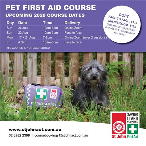 Pet first aid course - Canberra Cat Vet