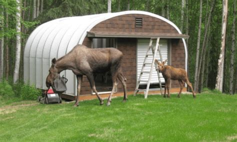 Alaska Steel Buildings: Cabins, Garages, Sheds & More