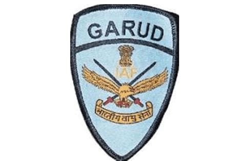 Garud Commando Force of the Indian Air Force | SOF News