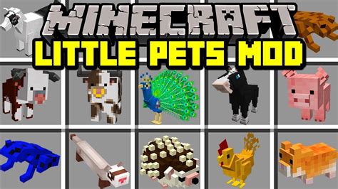 Minecraft Pet Mods : Check spelling or type a new query.