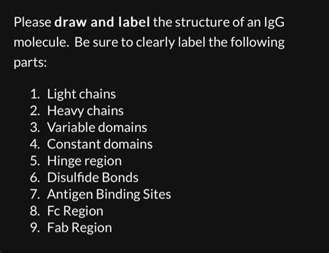 Solved Please draw and label the structure of an IgG | Chegg.com