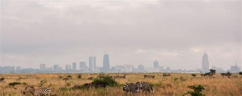 Nairobi National Park