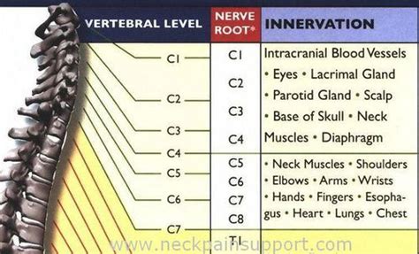 Pin on Nursing