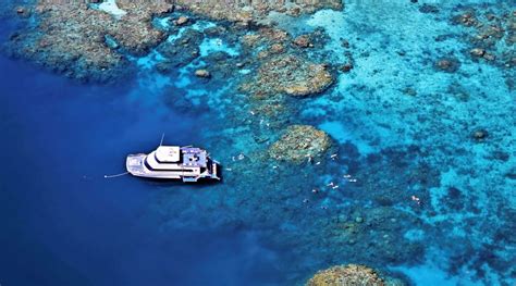 Cairns Top 5 Snorkelling Tours see the best of the Great Barrier Reef