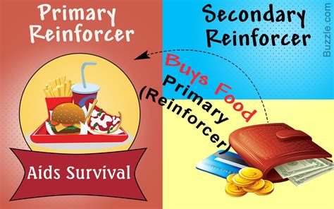 Primary Reinforcer Vs Secondary Reinforcer | Sparkhouse