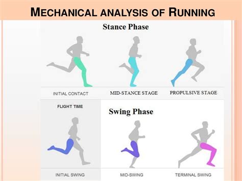 Biomechanics and Sports