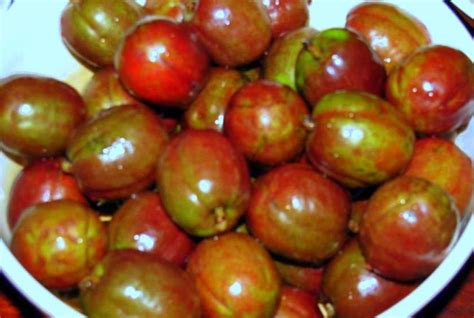 Fruits Stand: Siniguelas or Spanish Plum