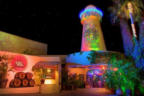 Downtown Cabo's Best Nightlife: Nightlife in Cabo San Lucas