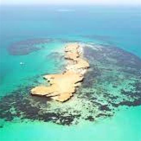 Farasan Islands Holiday Destination in Saudi Arabia | Saudi Scoop