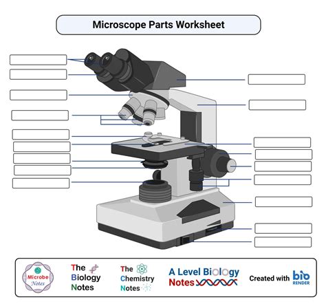 Microscopio de luz- definición, principio, tipos, partes, aumento | Association LEA