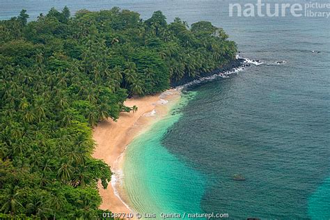 Stock photo of Banana beach, Principe Island UNESCO Biosphere Reserve, Democratic.... Available ...