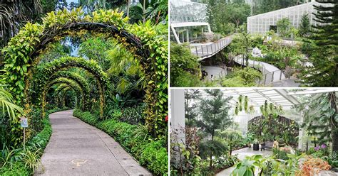 National Orchid Garden in S'pore Botanic Gardens has FREE Admission ...