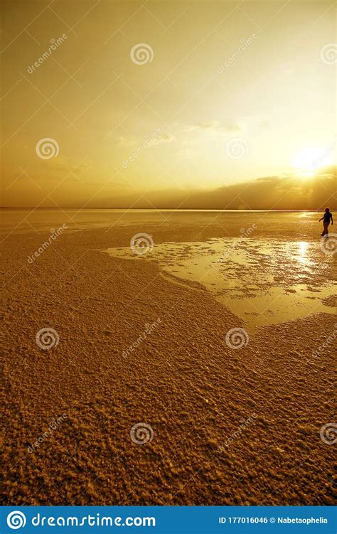 The Mythical Salt Flats at Dallol in the Danakil Depression Stock Photo - Image of depression ...