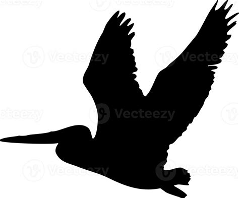 pelican flying silhouette 23265869 PNG