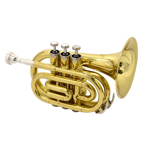 Pocket trumpet - holdingsnibht