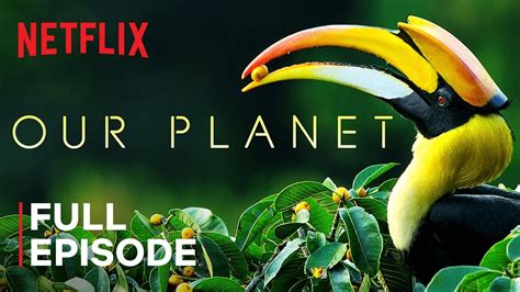 Our Planet | Forests | FULL EPISODE | Netflix - YouTube