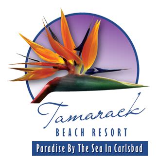 Rooms – Tamarack Beach Resort and Hotel