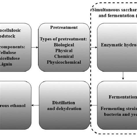 Major steps in bioethanol production. Data taken from Kang et al. (56 ...