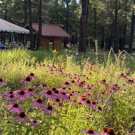 The Arboretum at Flagstaff - Discover Flagstaff