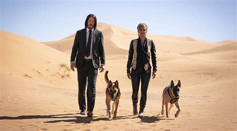 'John Wick: Chapter 3' fight scenes, ranked by animal involvement - Entertainment