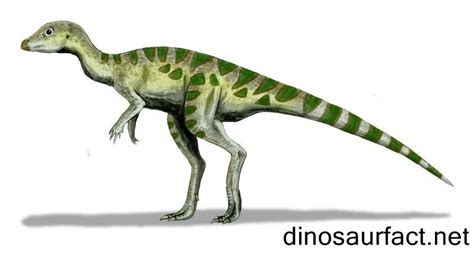 Pantydraco Pictures & Facts - The Dinosaur Database