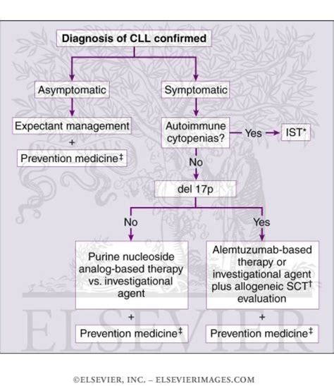 47 best images about Chronic Lymphocytic Leukemia on Pinterest | Red ...