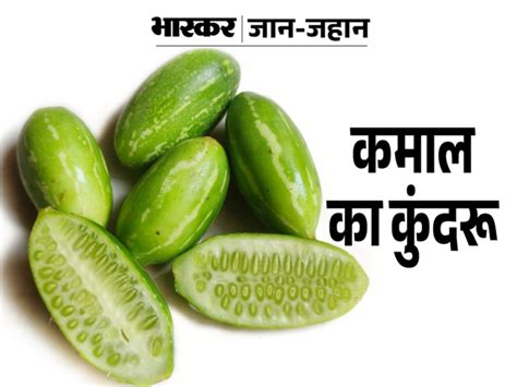 Benefits of eating Kundru vegetable | कुंदरू की सब्जी खाने के फायदे ...