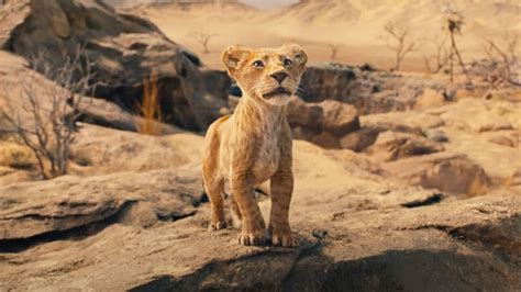 All 'Mufasa: The Lion King' Cast Confirmed | The Mary Sue