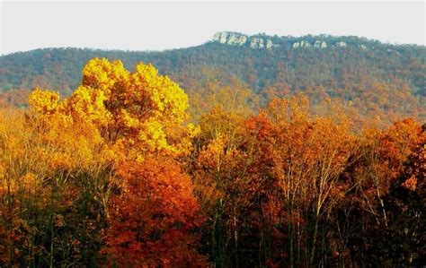 Fall in Virginia- 15 Spots to Enjoy Virginia Fall Colors