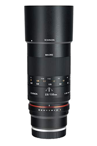 Best Macro Lenses for Sony in 2022 [6 Picks: E-Mount & Budget Options]