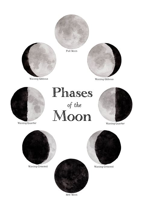 Printable Moon Phases