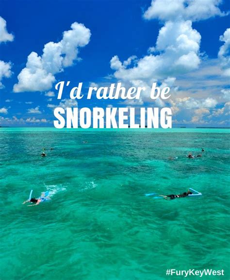 Snorkel in Key West with Fury Water Adventures | Snorkeling, Key west ...