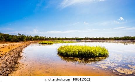 401 Mary river australia Images, Stock Photos & Vectors | Shutterstock