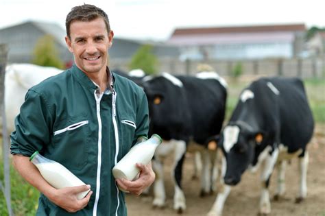 Solutions for Dairy Farmers | Agrilyze Agritech Solutions