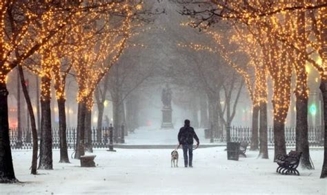 Pin by marzialga on NYC - New York City | Christmas snow, Winter scenes ...